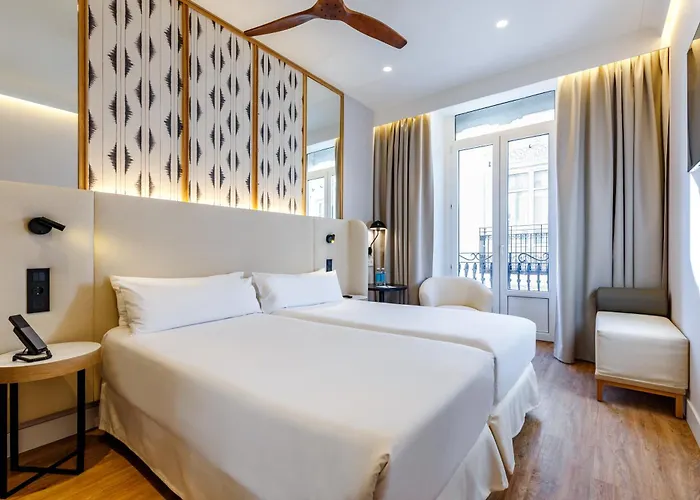 Petit Palace Plaza De La Reina Hotell